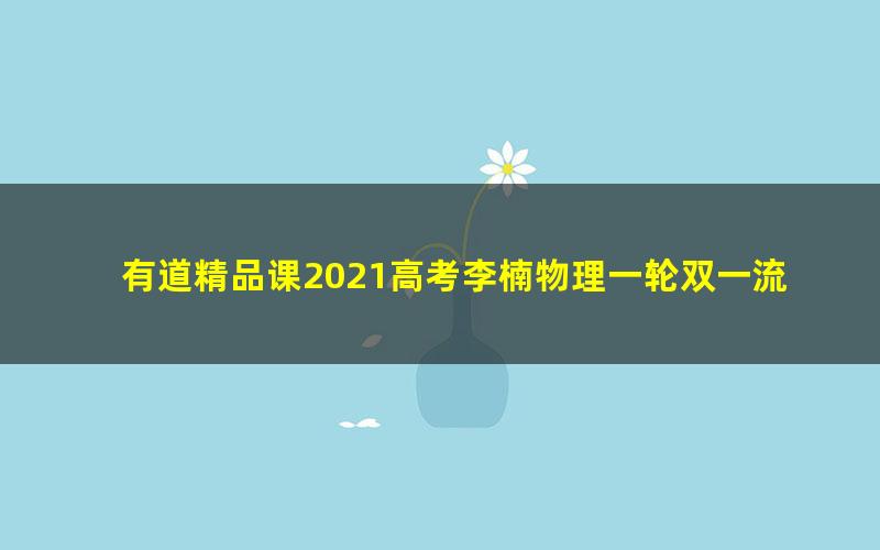 有道精品课2021高考李楠物理一轮双一流班（23.5G高清视频）