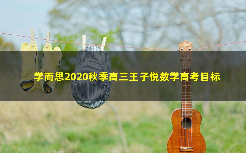 学而思2020秋季高三王子悦数学高考目标140+直播班（完结）（5.13G高清视频）