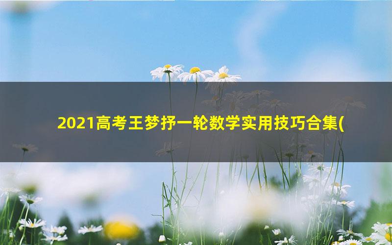 2021高考王梦抒一轮数学实用技巧合集(网红技巧前生今世30讲）（5.45G超清视频）