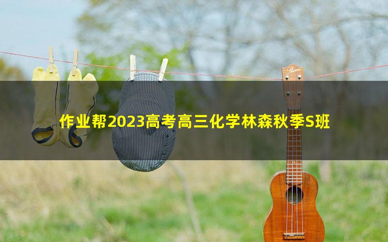 作业帮2023高考高三化学林森秋季S班 