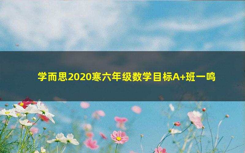 学而思2020寒六年级数学目标A+班一鸣(完结)(高清视频)