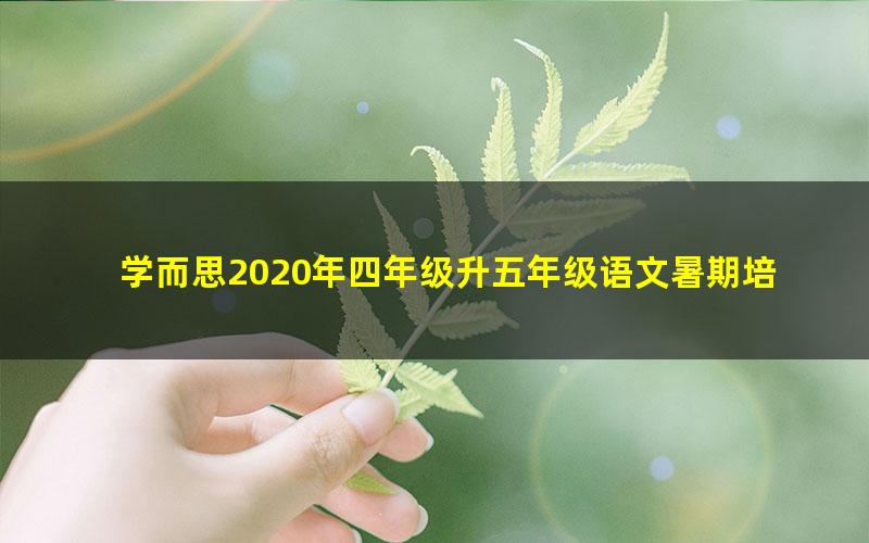 学而思2020年四年级升五年级语文暑期培优班(勤思在线-薛侠)(高清视频)