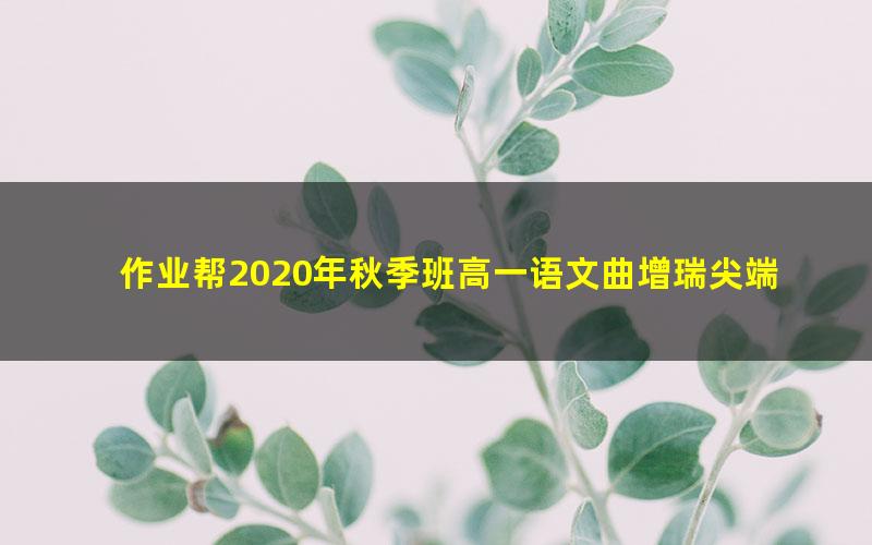 作业帮2020年秋季班高一语文曲增瑞尖端班（1080超清视频）