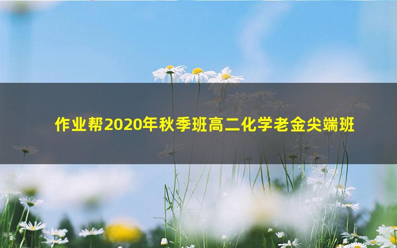 作业帮2020年秋季班高二化学老金尖端班（1080超清视频）