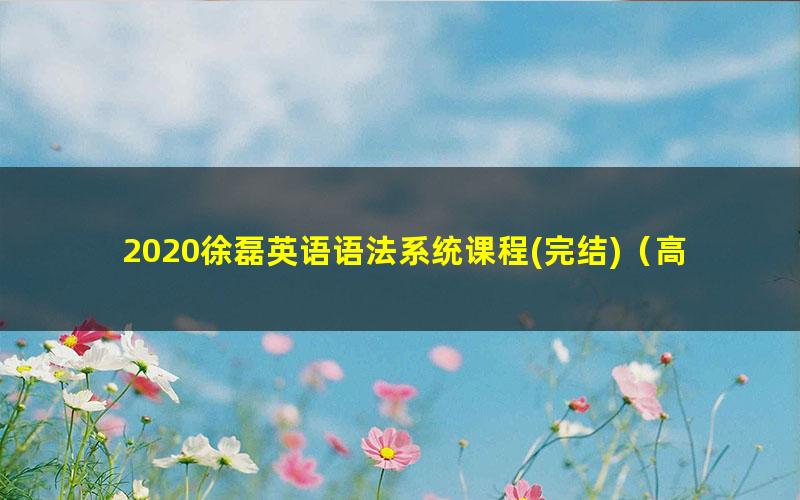 2020徐磊英语语法系统课程(完结)(高清视频)