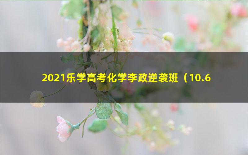 2021乐学高考化学李政逆袭班（10.6G高清视频）