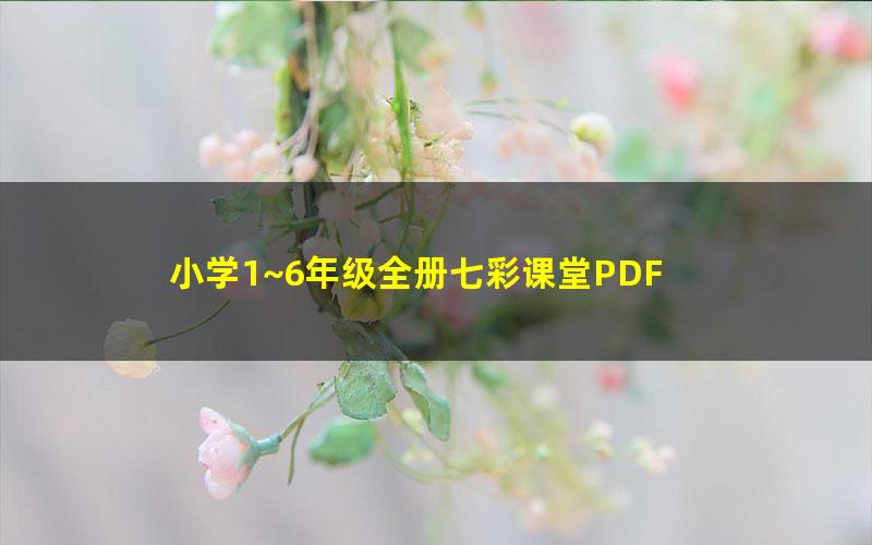 小学1~6年级全册七彩课堂PDF
