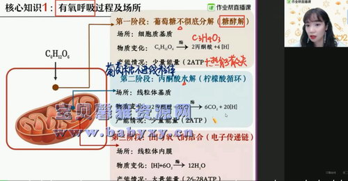 2021作业帮高二寒假段瑞莹生物尖端班（10.3G高清视频）