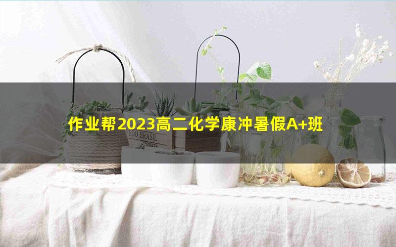 作业帮2023高二化学康冲暑假A+班 