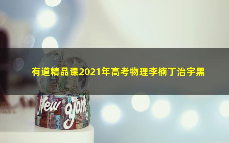 有道精品课2021年高考物理李楠丁治宇黑马班(完结)(7.89G高清视频)