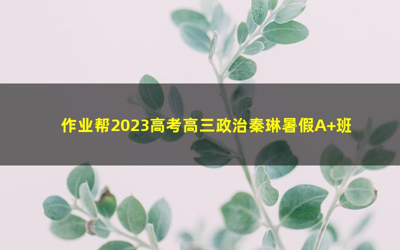 作业帮2023高考高三政治秦琳暑假A+班 