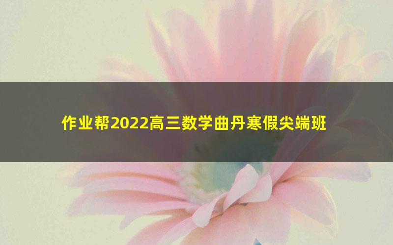 作业帮2022高三数学曲丹寒假尖端班 