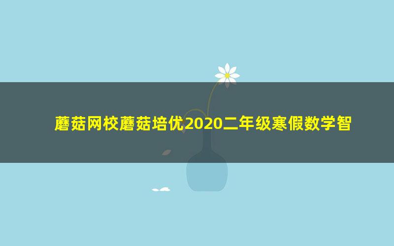 蘑菇网校蘑菇培优2020二年级寒假数学智优班（完结）（3.53G高清视频）