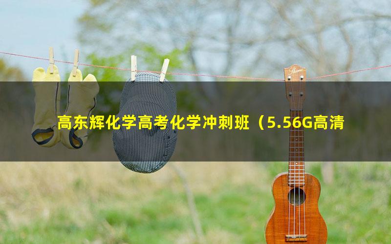 高东辉化学高考化学冲刺班（5.56G高清视频）