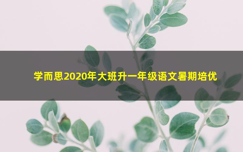 学而思2020年大班升一年级语文暑期培优班（勤思在线-潘晓琳）（高清视频）