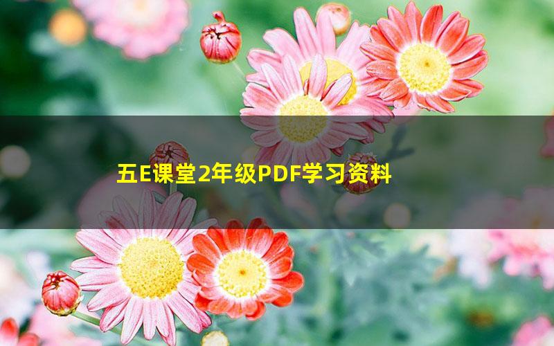 五E课堂2年级PDF学习资料 