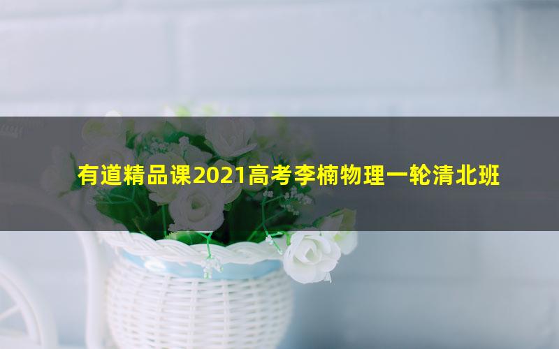 有道精品课2021高考李楠物理一轮清北班（25.5G高清视频）