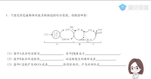 腾讯课堂2022高考生物周芳煜二轮复习模块二：大题专项