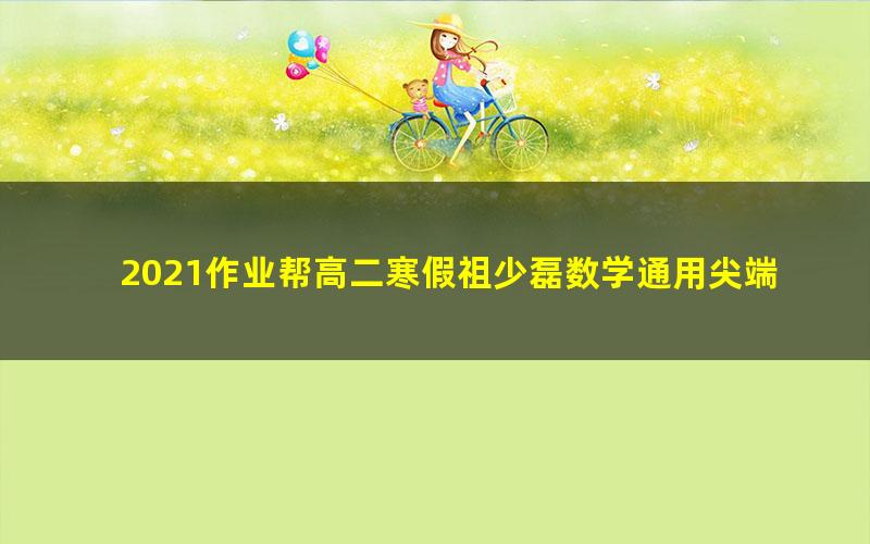 2021作业帮高二寒假祖少磊数学通用尖端班（14.2G高清视频）