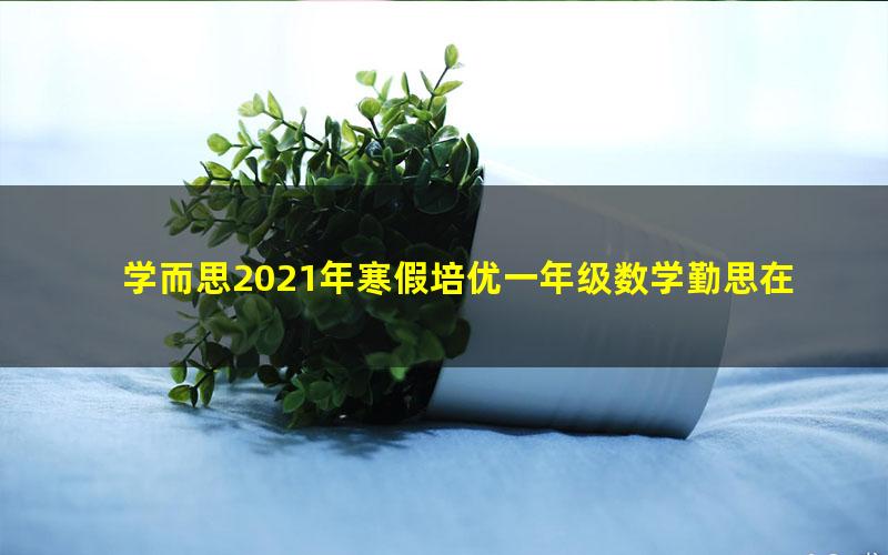 学而思2021年寒假培优一年级数学勤思在线何俞霖（完结）（8.21G高清视频）