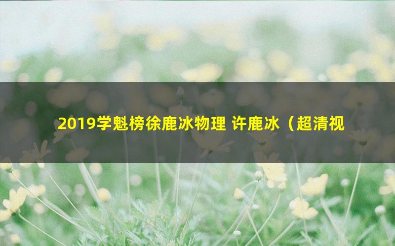 2019学魁榜徐鹿冰物理 许鹿冰（超清视频+讲义41.1G)