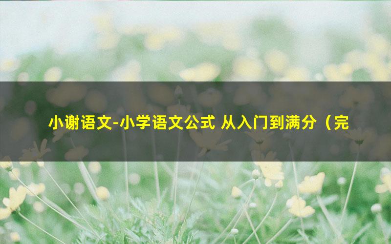 小谢语文-小学语文公式 从入门到满分(完结)