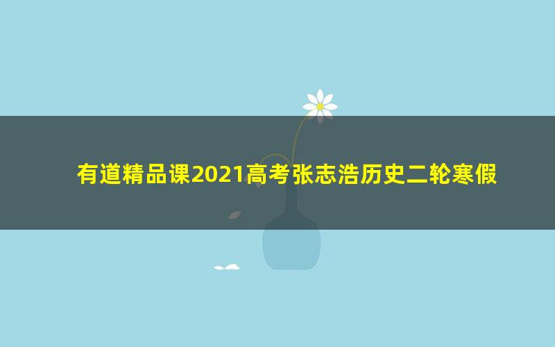 有道精品课2021高考张志浩历史二轮寒假班（21.0G高清视频）