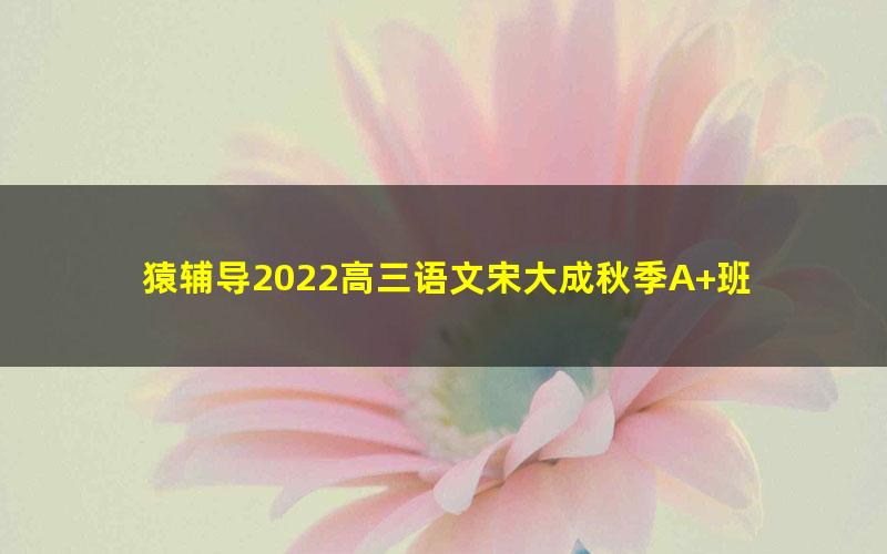 猿辅导2022高三语文宋大成秋季A+班 