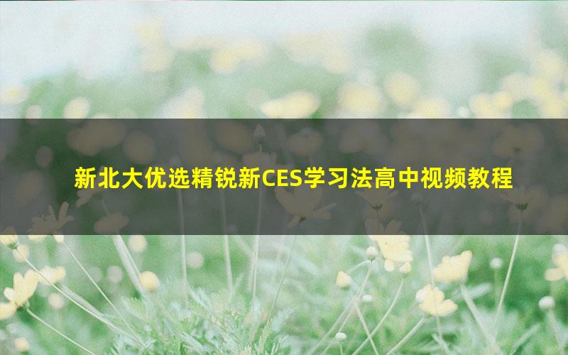 新北大优选精锐新CES学习法高中视频教程优选优学方法-高中五科(13.0G高清视频)