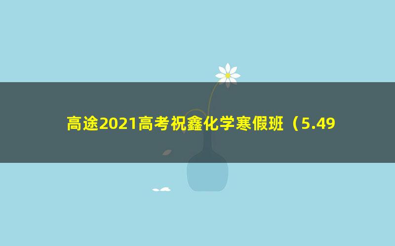 高途2021高考祝鑫化学寒假班（5.49G高清视频）