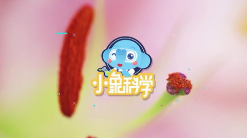 小象科学三年级上同步科学课(59节)(960×540视频)