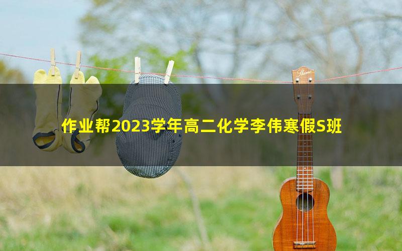 作业帮2023学年高二化学李伟寒假S班 