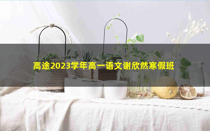 高途2023学年高一语文谢欣然寒假班