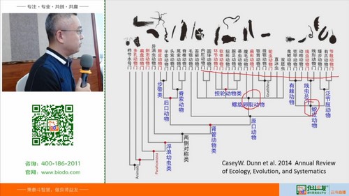 北斗2021国庆生物竞赛BST2-提高营（济南动物和植物专题）（32.7G高清视频）