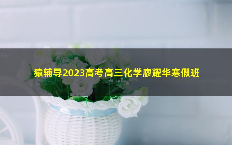 猿辅导2023高考高三化学廖耀华寒假班 