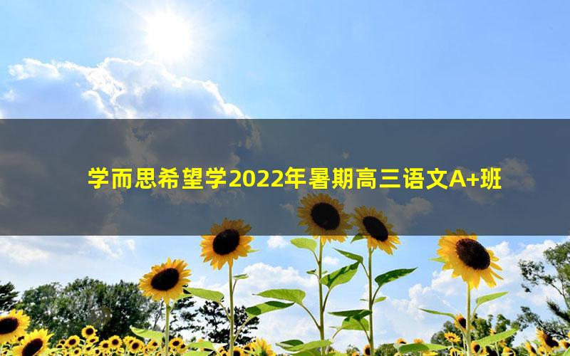 学而思希望学2022年暑期高三语文A+班郑会英（高考）（完结）