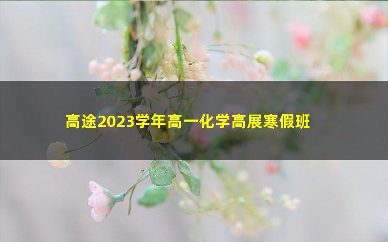 高途2023学年高一化学高展寒假班 