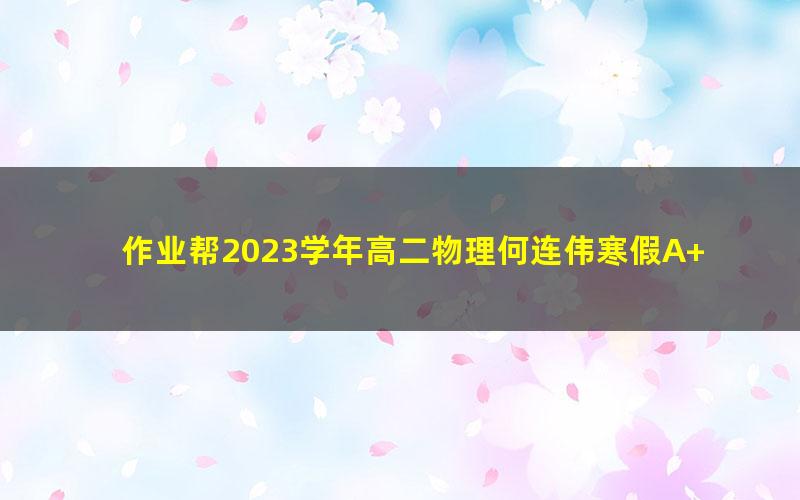 作业帮2023学年高二物理何连伟寒假A+班 