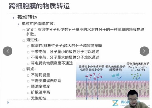 质心教育生物竞赛2020秋季动物生理羊羊老师（生物竞赛动物生理）