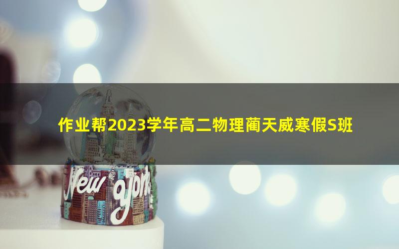 作业帮2023学年高二物理蔺天威寒假S班 