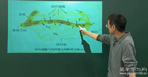 简单学习网高二生物同步必修二（林祖荣）