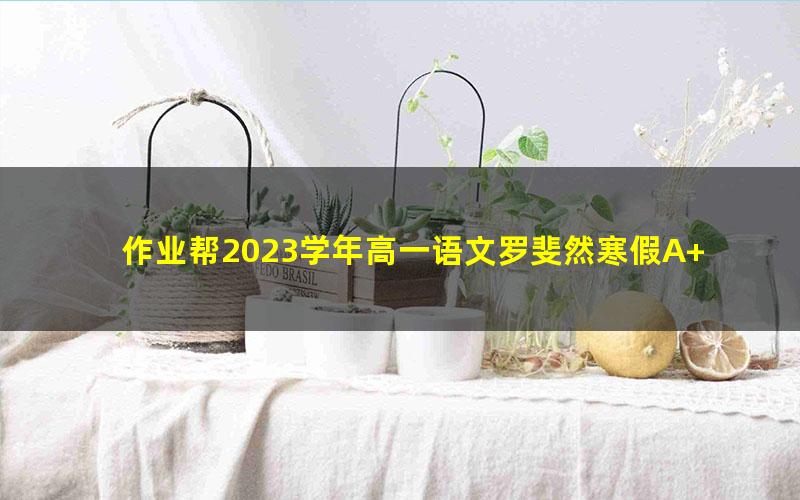 作业帮2023学年高一语文罗斐然寒假A+班 