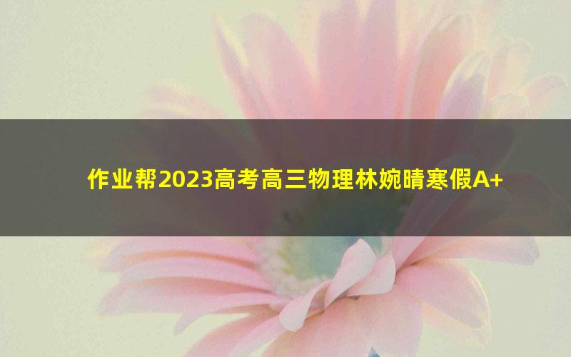 作业帮2023高考高三物理林婉晴寒假A+班 