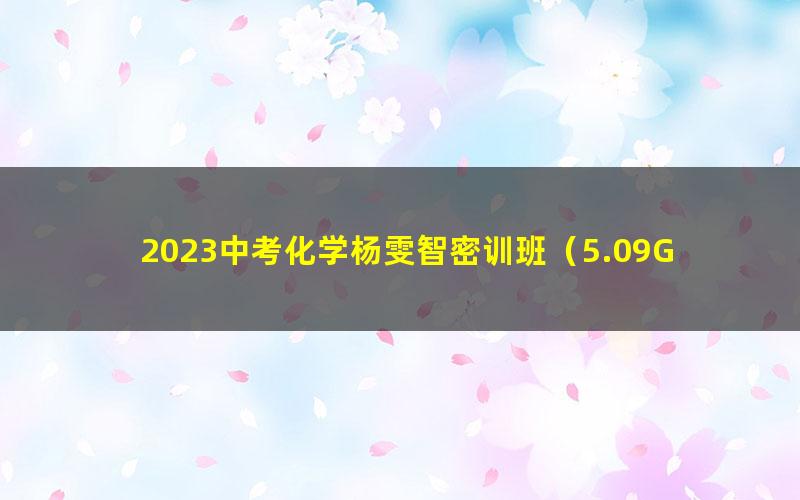 2023中考化学杨雯智密训班（5.09G高清视频）