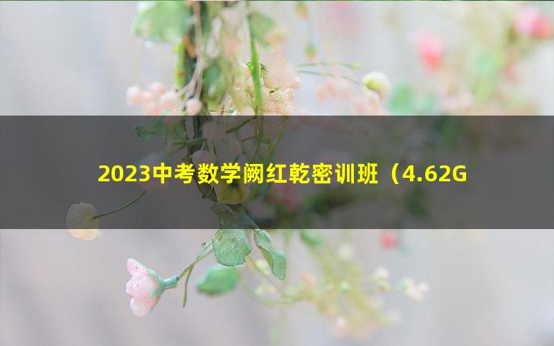 2023中考数学阙红乾密训班（4.62G高清视频）