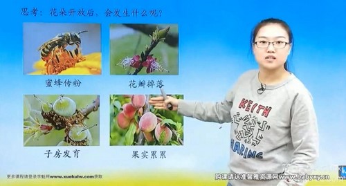 简单学习网初二生物同步提高下学期课程