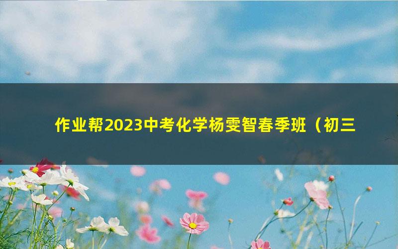 作业帮2023中考化学杨雯智春季班（初三）（12.3G高清视频）