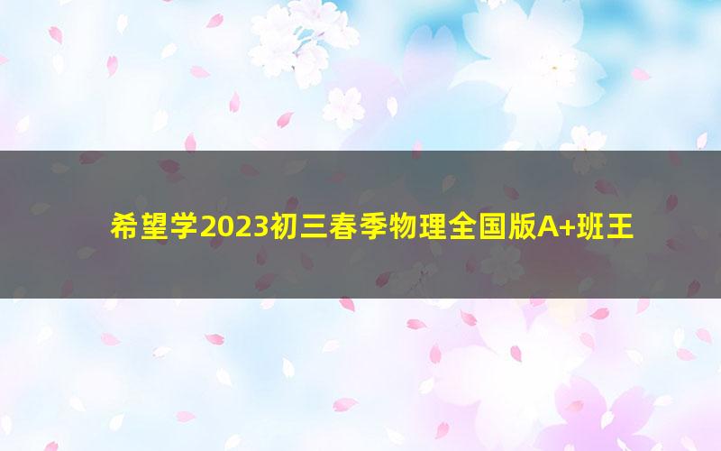 希望学2023初三春季物理全国版A+班王万鑫（上部完结）