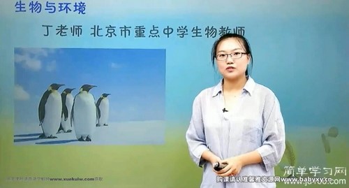 简单学习网初三生物课程 