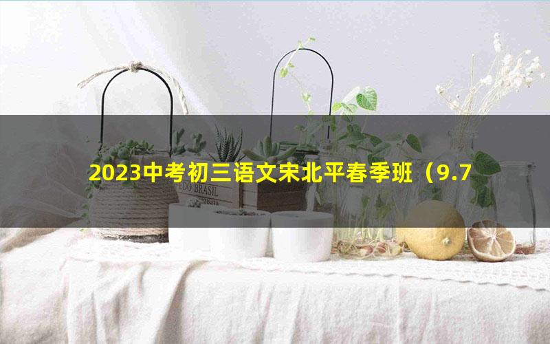 2023中考初三语文宋北平春季班(9.77G高清视频)